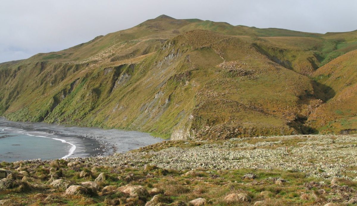 New Zealand Subantarctic Islands