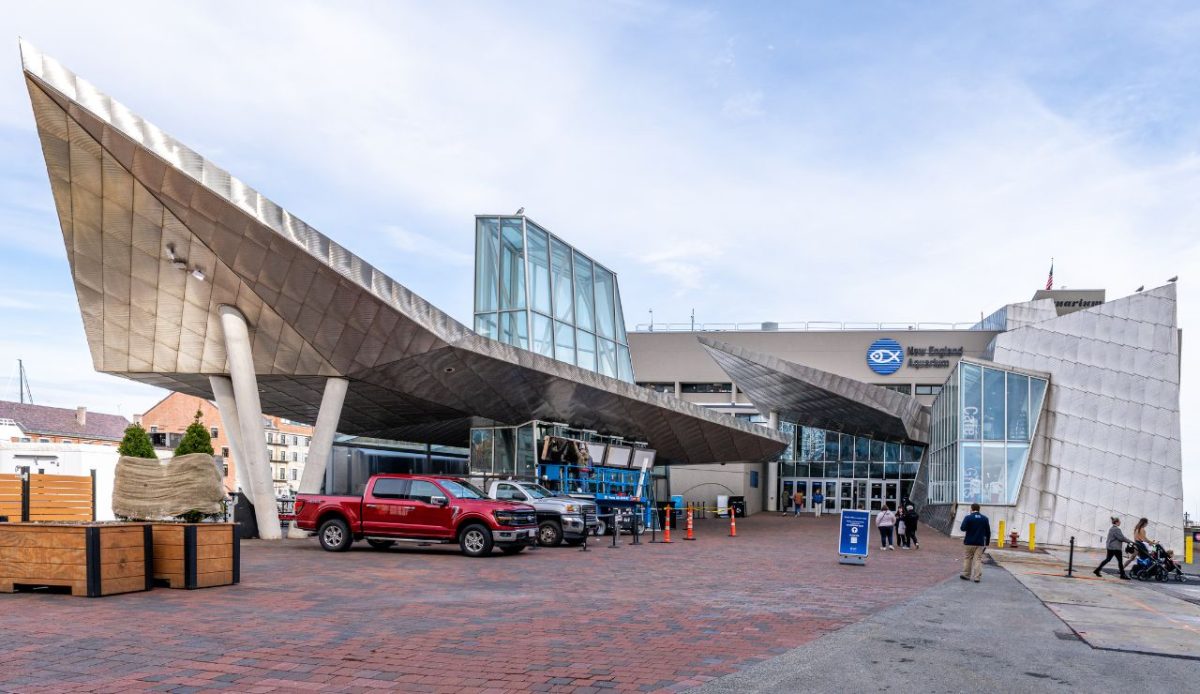 Experience the New England Aquarium