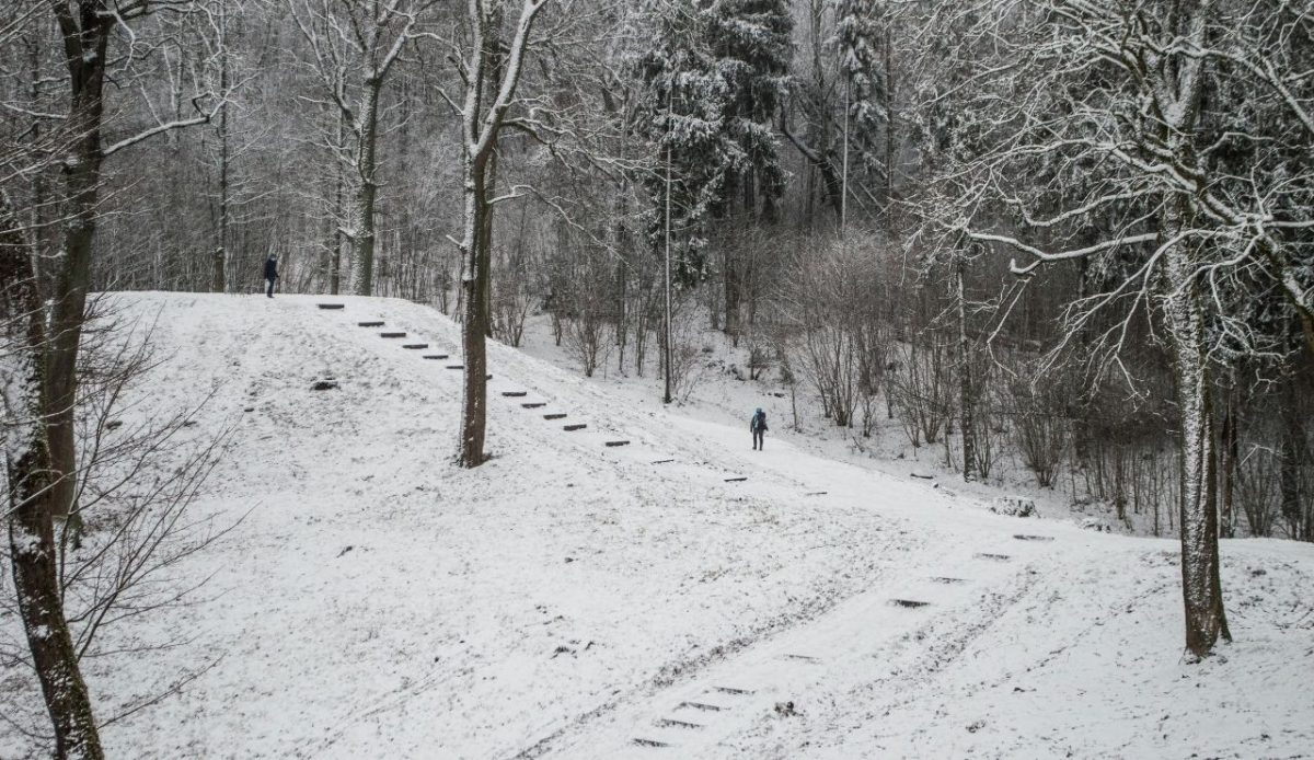 12 Seasonal Hiking Goals to Make 2026 Your Best Outdoor Year Yet 3 A person walking on a snowy path in the woods