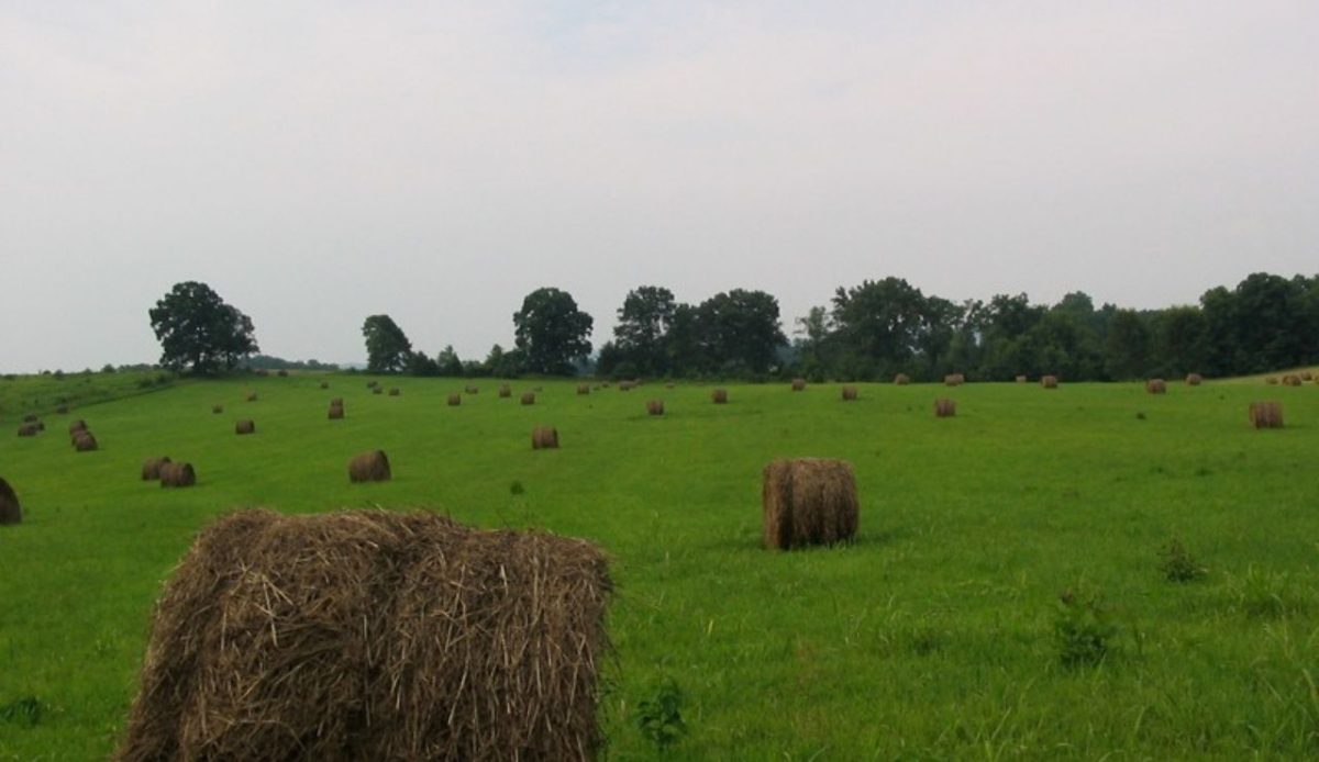 15 Historic Monasteries and Abbeys in America You Can Tour 1 Abbey of Gethsemani, Kentucky