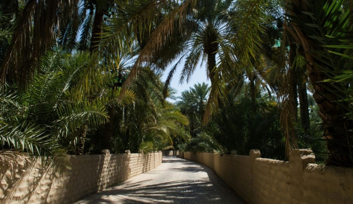 10 Middle East Destinations Known for Strong Privacy and Quiet Traditions 9 Al Ain Oasis, United Arab Emirates