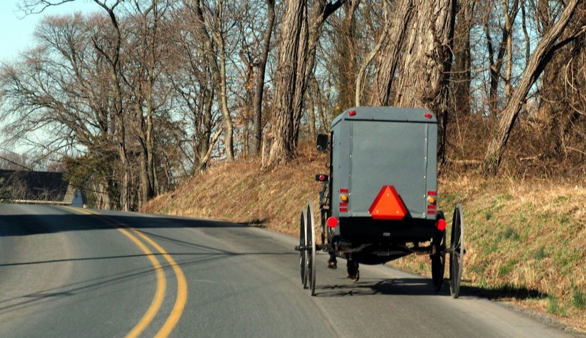 An Amish-built horse-drawn market wagon                         