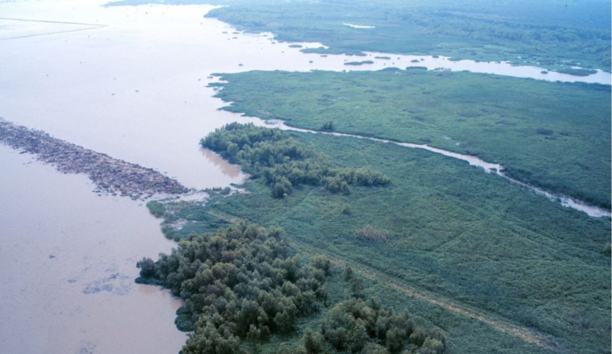 Atchafalaya Basin, Louisiana                                