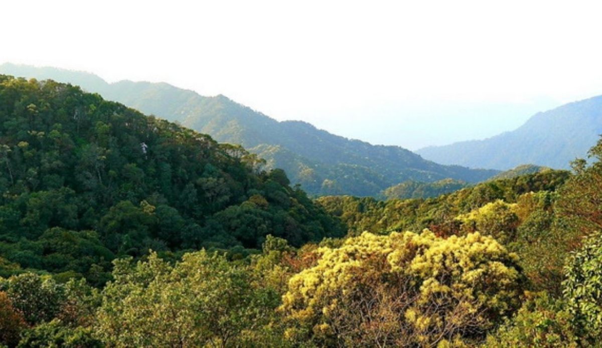 Bach Ma National Park                         