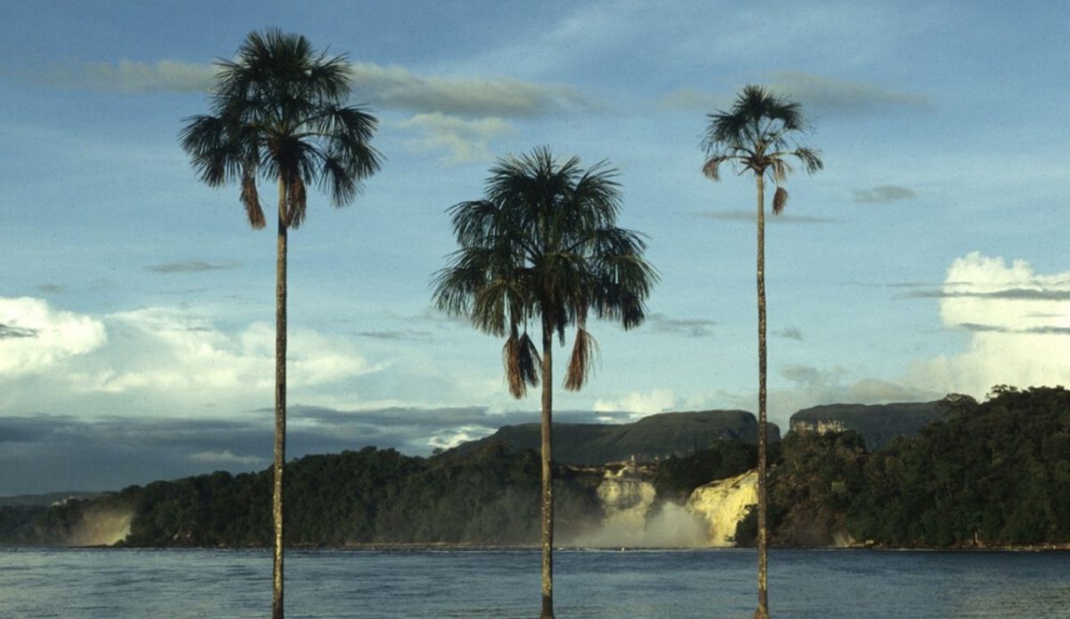 Canaima National Park And Angel Falls, Venezuela                      
