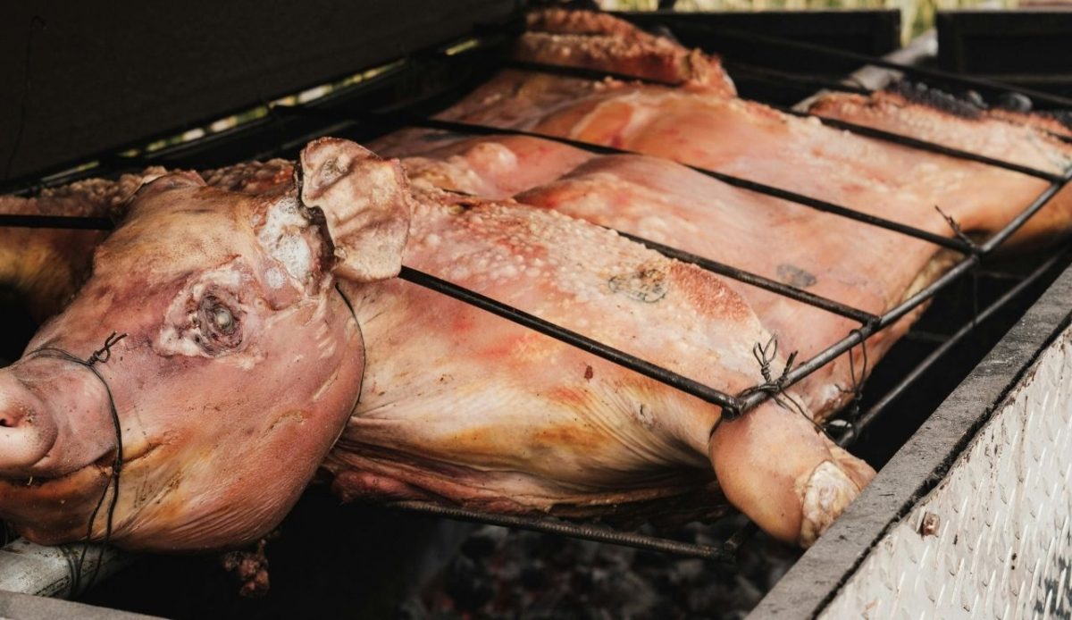 Carolina Whole Hog Barbecue And Pig Pickins                         