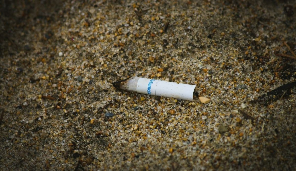 Cigarette butt                   