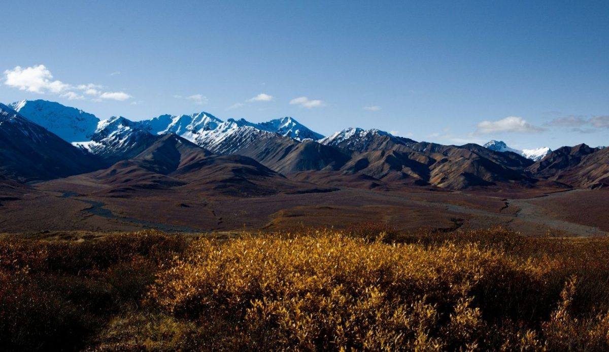 14 High-Altitude Regions Where Survival Depends on Preparation 9 Denali National Park High Country, Alaska, USA