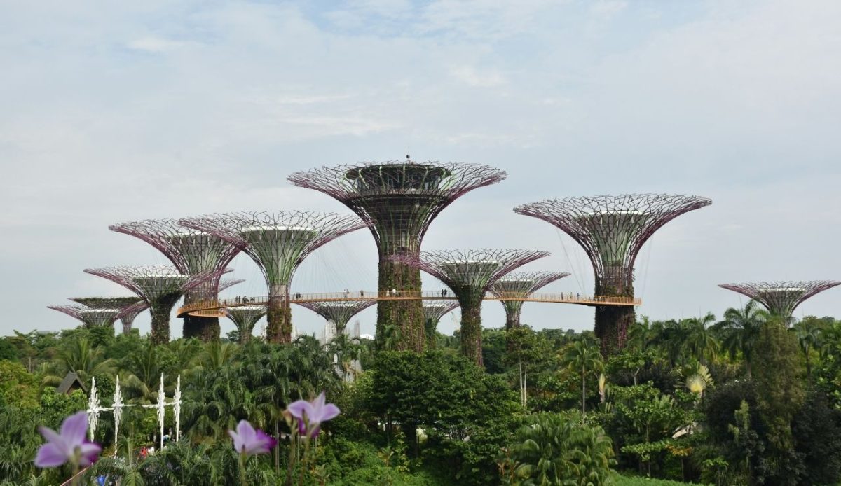 Gardens by the Bay, Singapore                            