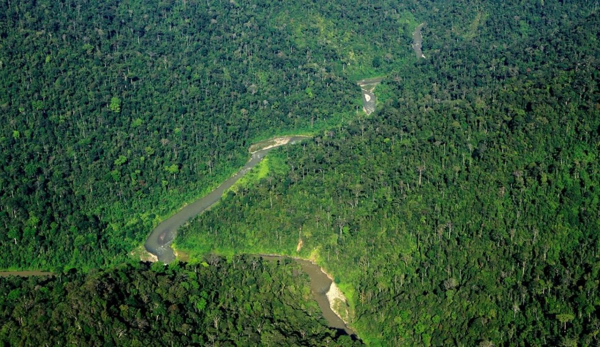Gunung Leuser Deep Jungle Trek, Sumatra, Indonesia                                