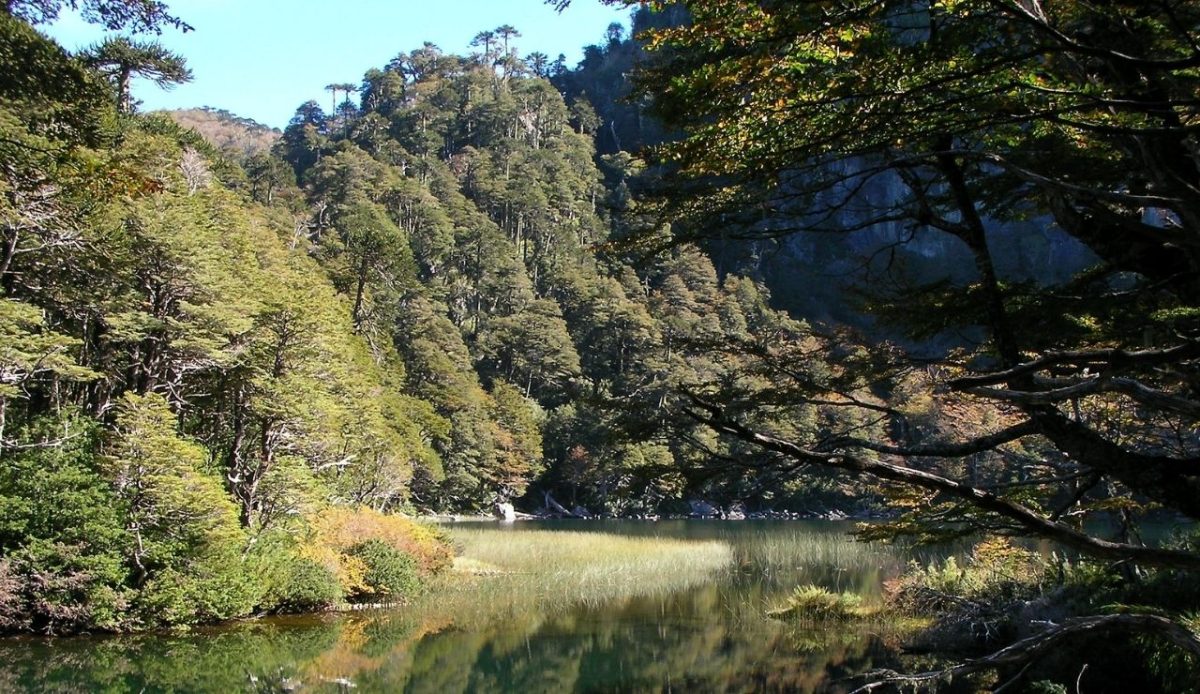 Huerquehue National Park, Chile           