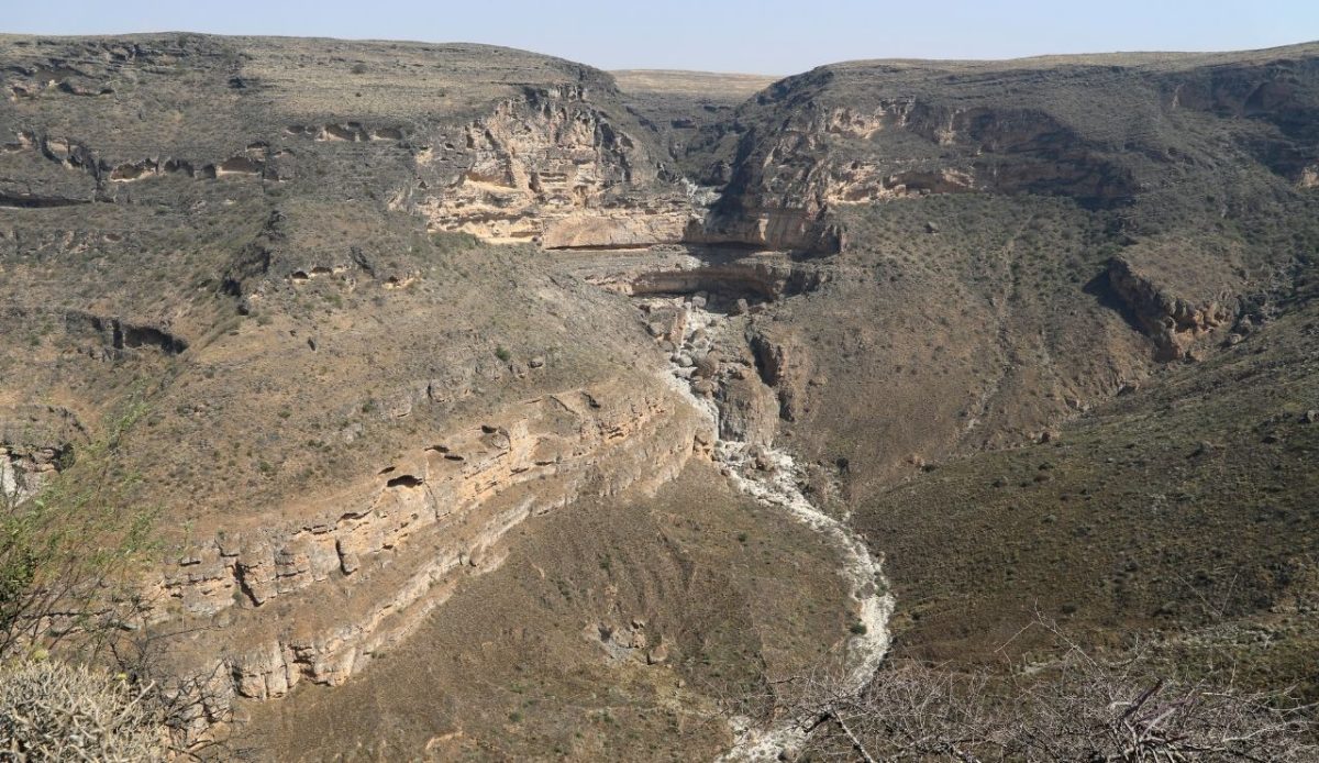 Jabal Samhan Nature Reserve                         