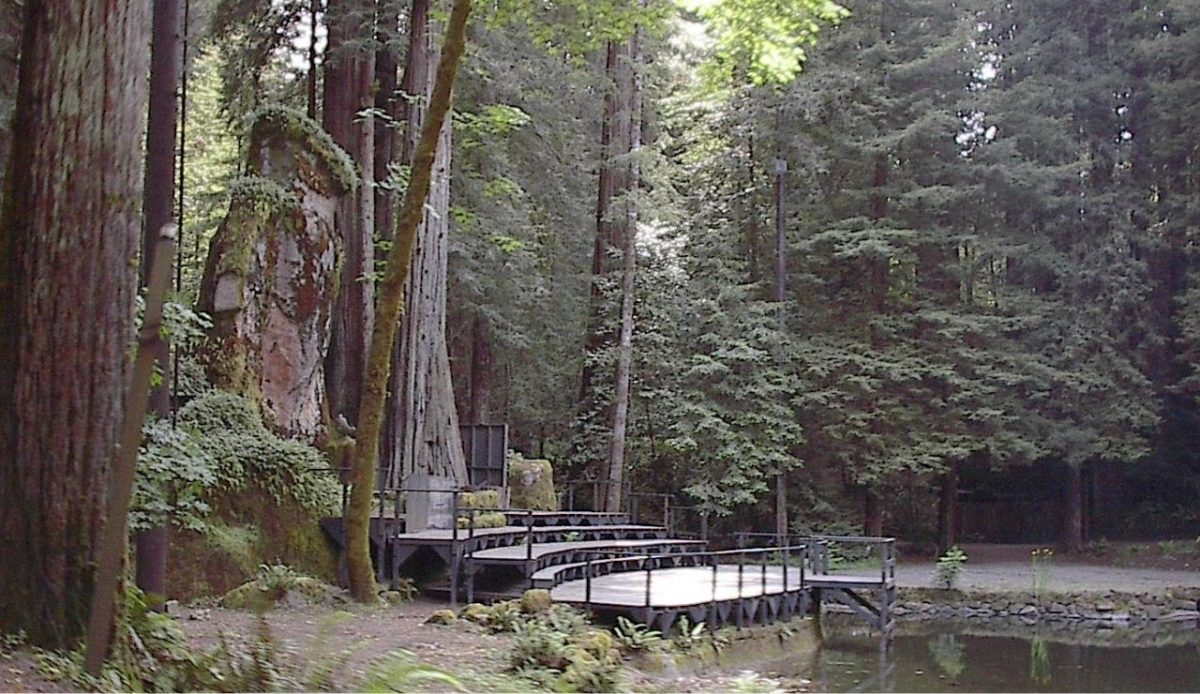 Bohemian Grove, California                          