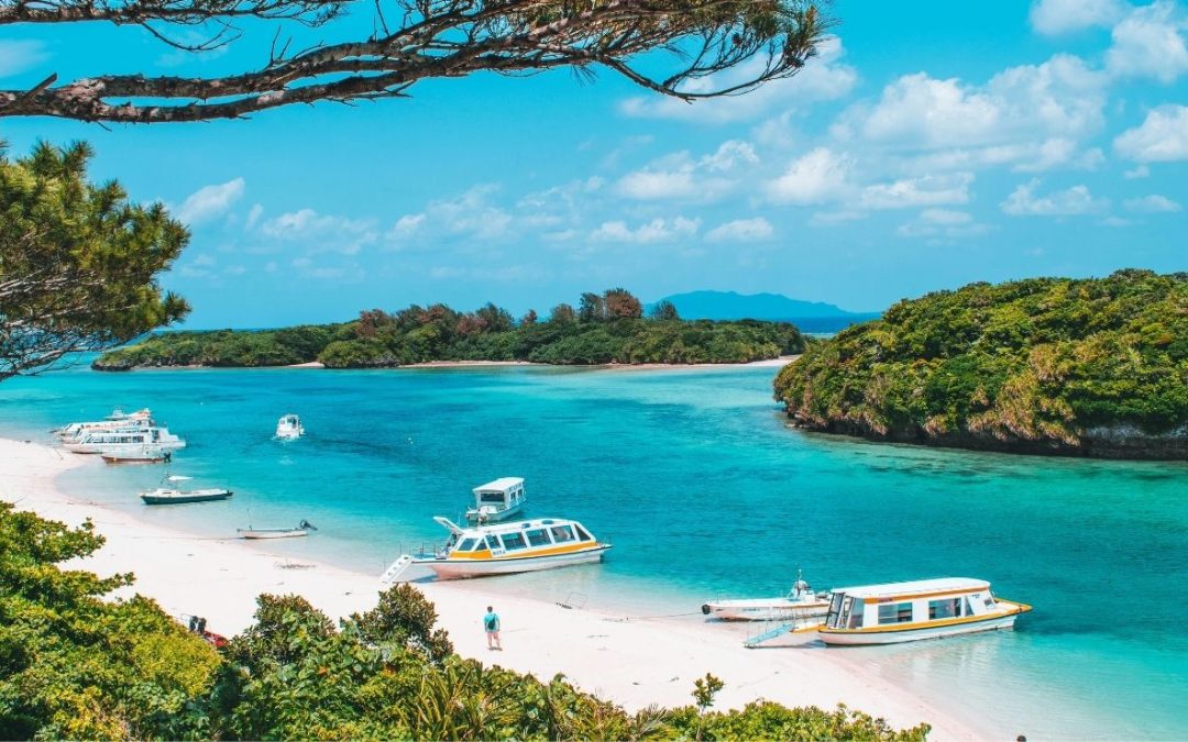 10 Eastern Asia Dive Spots Where Rare Marine Species Still Persist