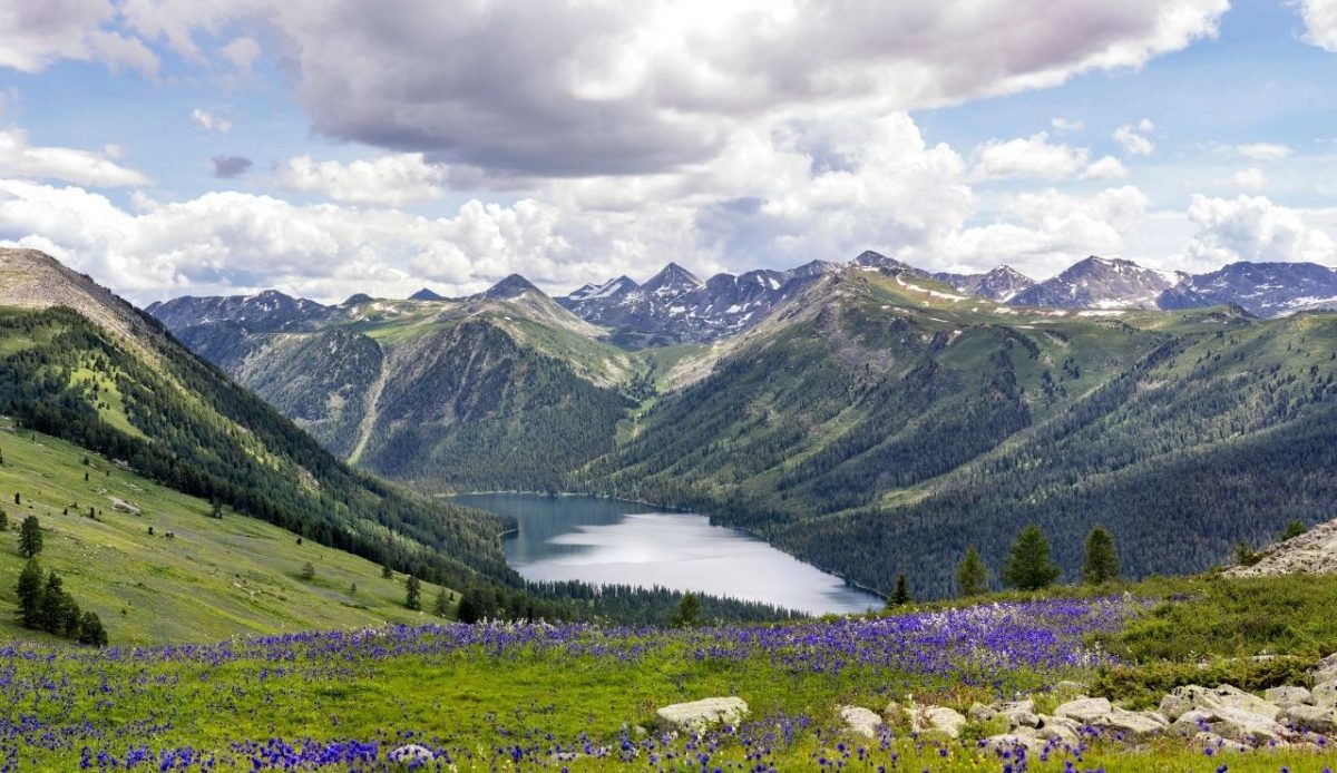 10 Central Asia Trekking Destinations That Push Adventurers To Their Limits 9 Katon Karagay To Belukha Foothills Trek, Kazakhstan