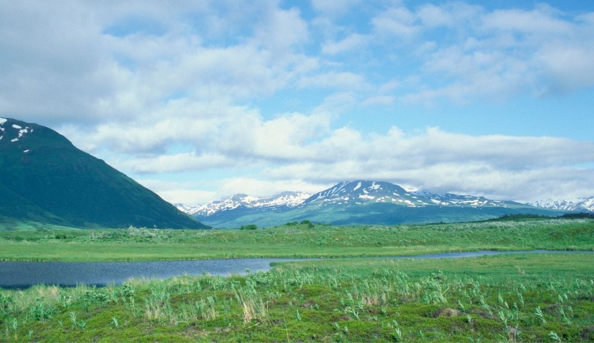 Kodiak National Wildlife               