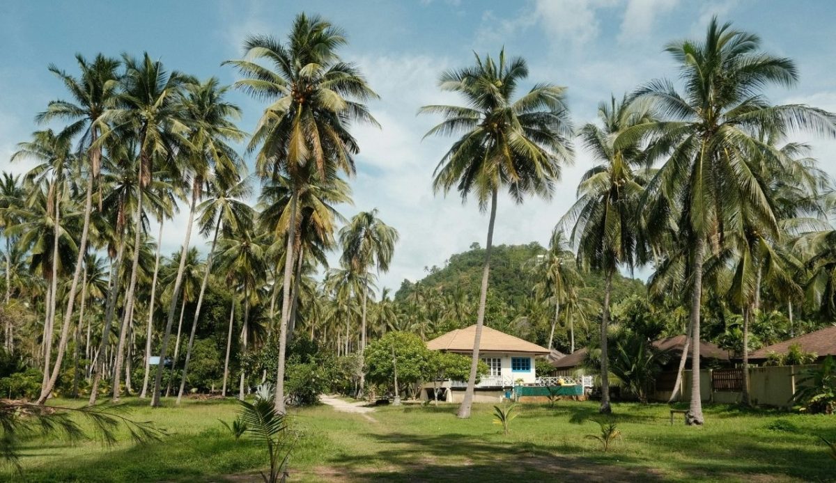Koh Samui, Amphoe Ko Samui, Surat Thani, Thailand                                 