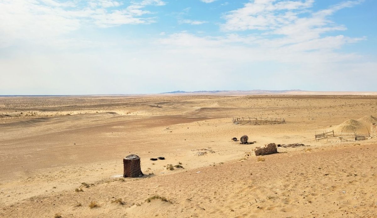 Kyzylkum Desert, Uzbekistan and Kazakhstan                                    