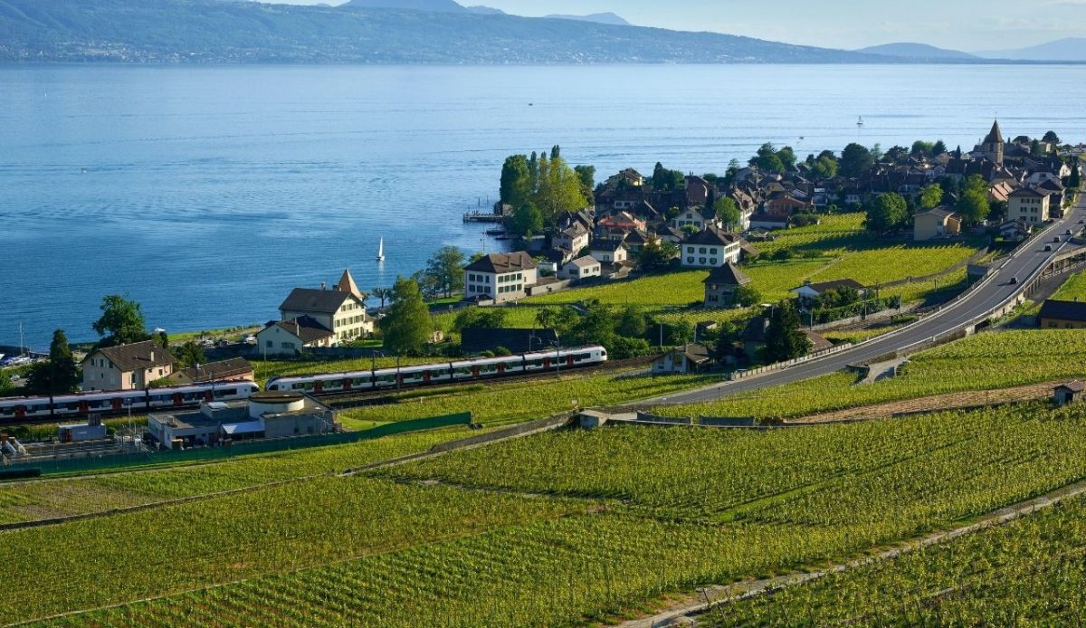 Lavaux, Vineyard Terraces and magnificent landscapes of Lake Geneva, Lausanne, Switzerland                                
