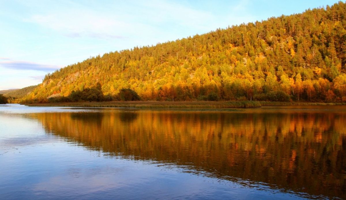 Lemmenjoki National Park, Finland                                