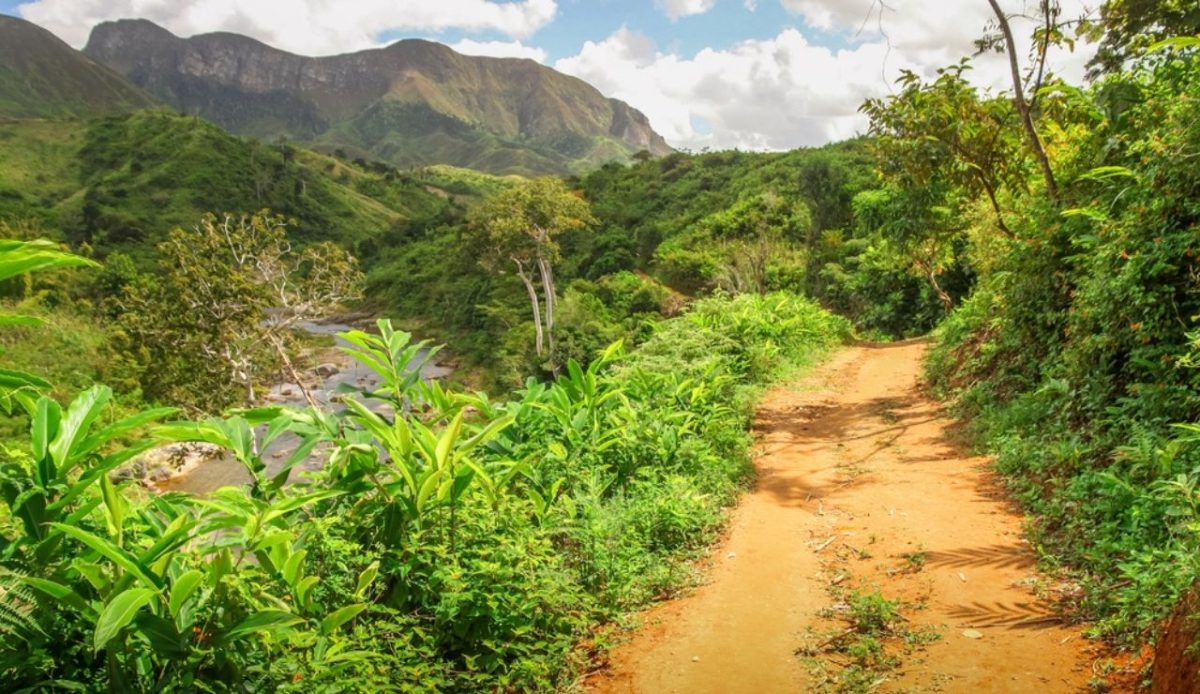 Masoala National Park, Madagascar                     