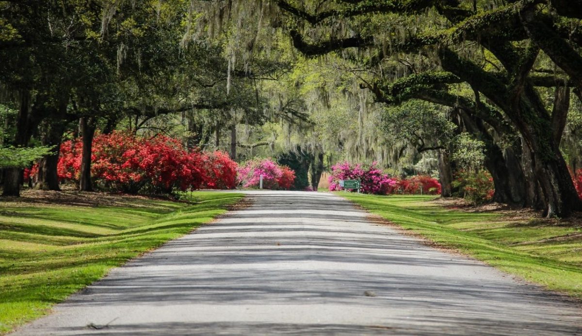 15 Historic Monasteries and Abbeys in America You Can Tour 2 Mepkin Abbey, South Carolina