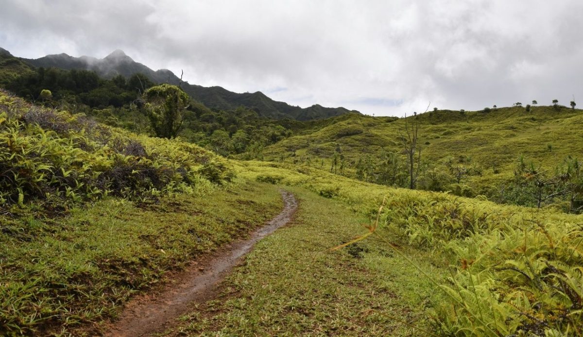 Nuku Hiva, Marquesas Islands                       