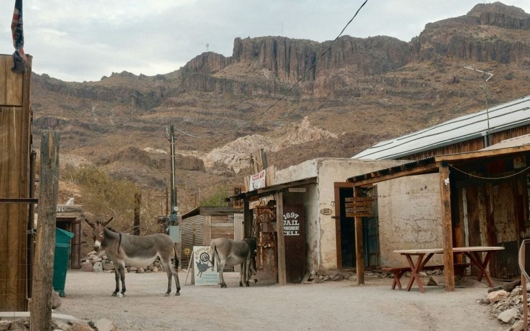 7 Small Towns Known for Unusual Local Economies and Odd Traditions