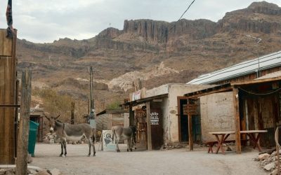 7 Small Towns Known for Unusual Local Economies and Odd Traditions