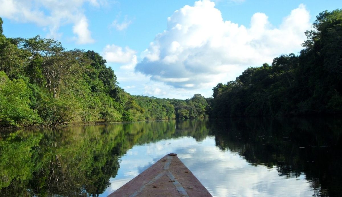 Pacaya Samiria National Reserve                                  