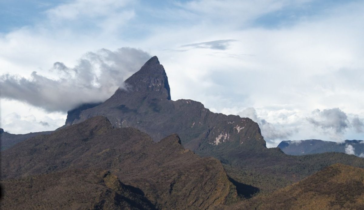 Pico da Neblina Expedition Trek, Brazil                        
