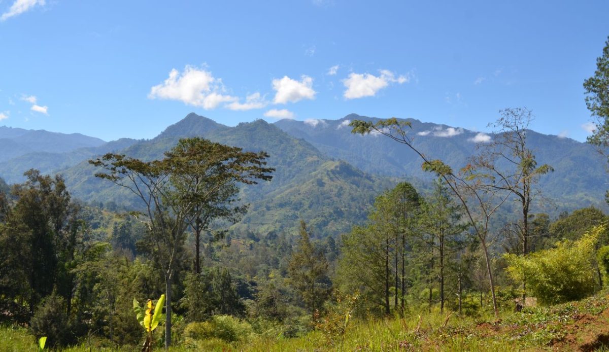 New Guinea Highlands