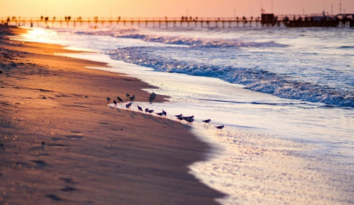 10 Sunny South American Destinations That Stay Warm All Year 4 Riohacha, La Guajira, Colombia