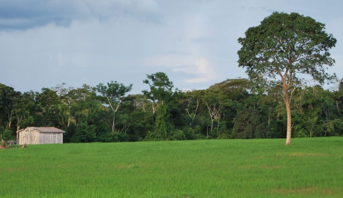 Rondônia State, Brazil                          