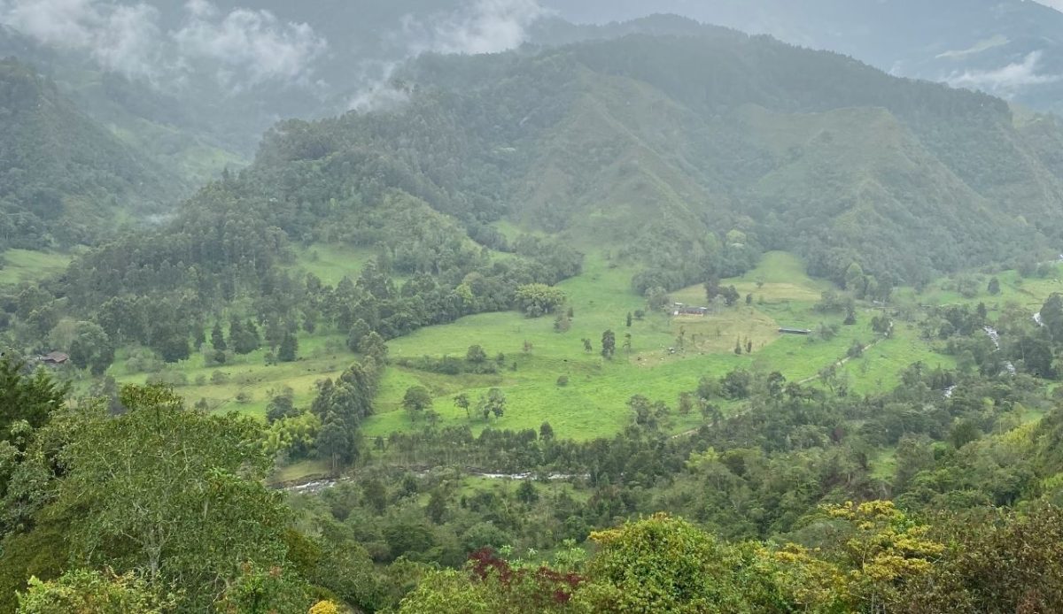 Salento, Salento, Colombia                       