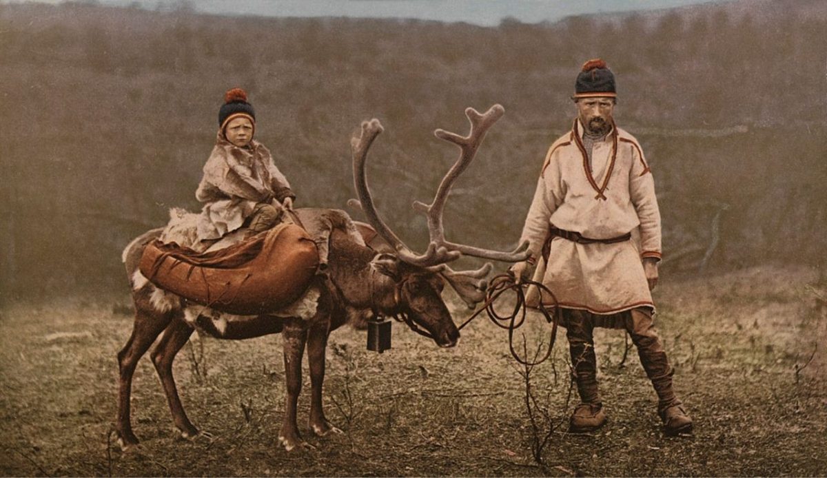 Sámi Reindeer Herding Rights In Norway                                