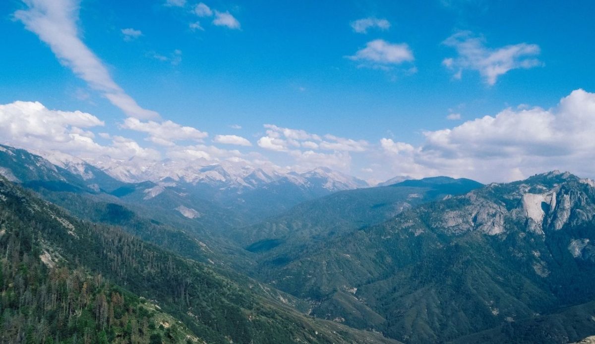 Sequoia National Park, USA                  