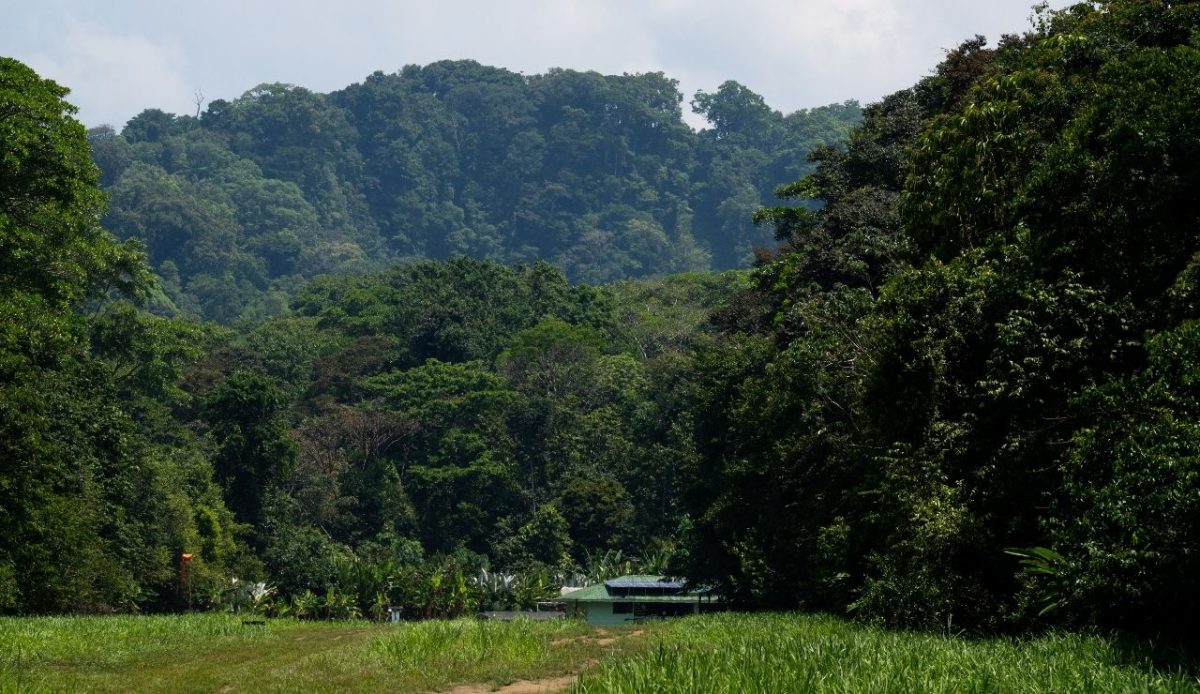 Sirena Station visible at the end of its unused airstrip at Corcovado National Park, Costa Rica                               