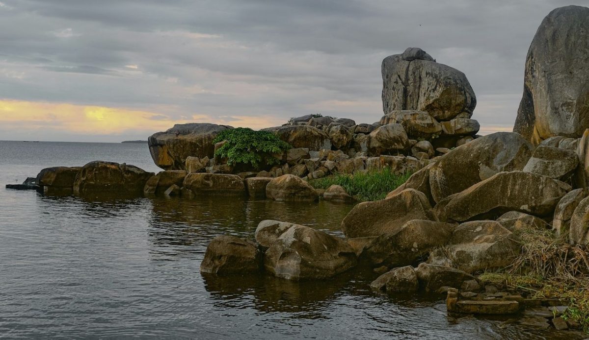 Sunrise on the Shores of Lake Victoria, Musoma 2024  Musoma, Tanzania                                 