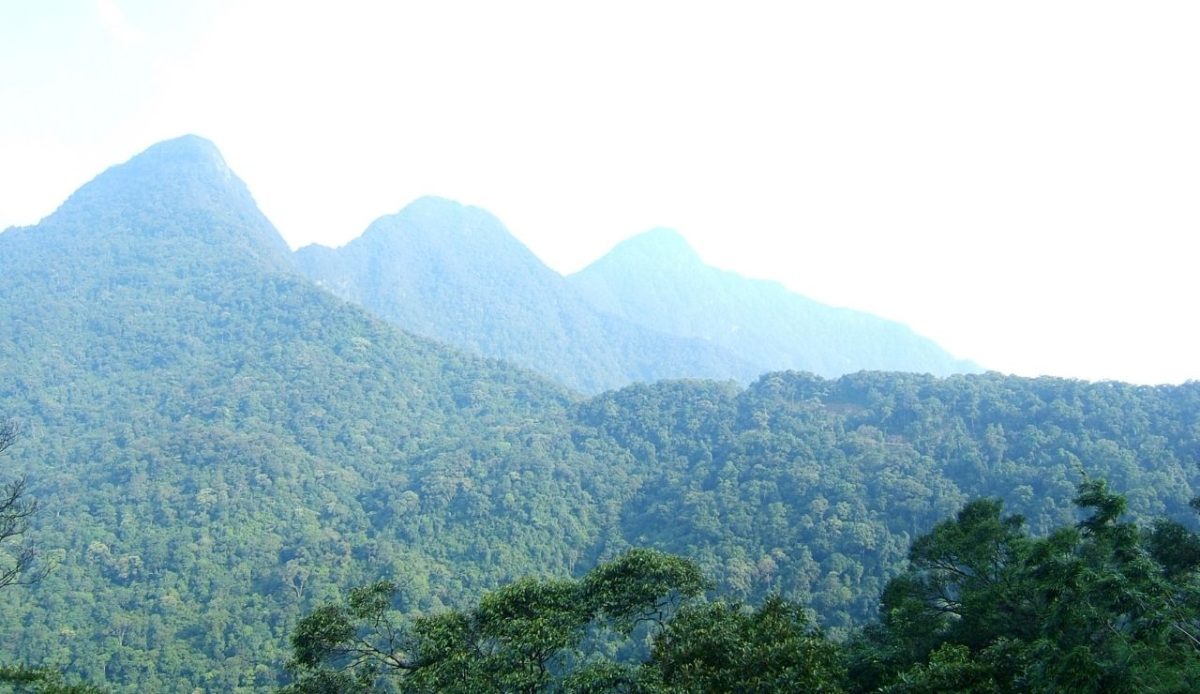 Tam Dao National Park                             