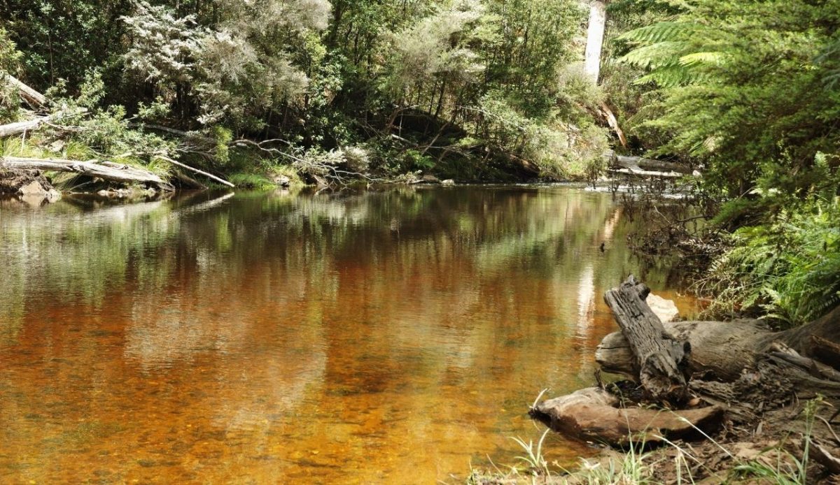 8 Little-Known Destinations With The Cleanest Air You’ll Ever Breathe 3 The Emu River in Fern Glade, Burnie, Tasmania.