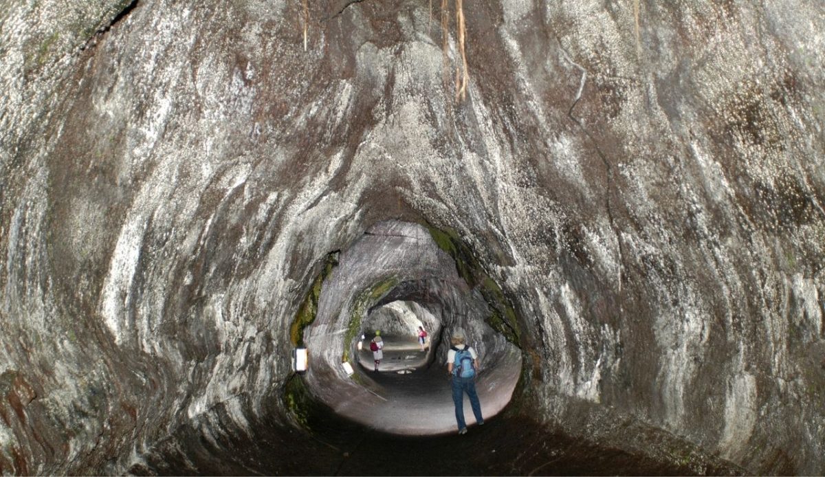 Thurston lava tube in Hawaiʻi Volcanoes National Park                       