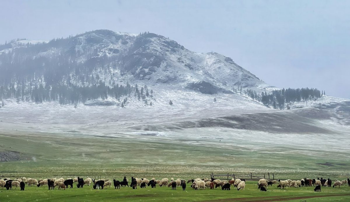 Mongolia