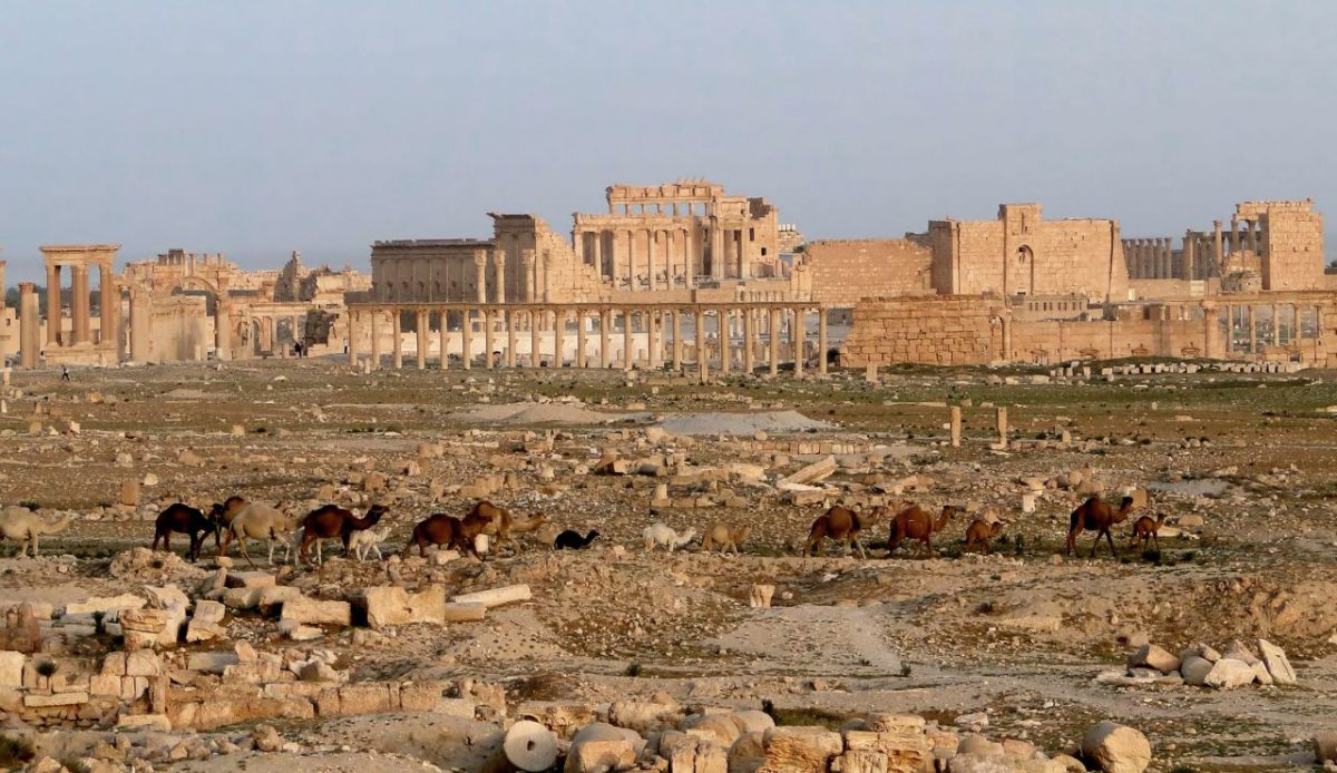 Palmyra, Syria