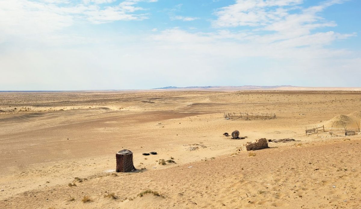 Kyzylkum Desert, Uzbekistan/Kazakhstan