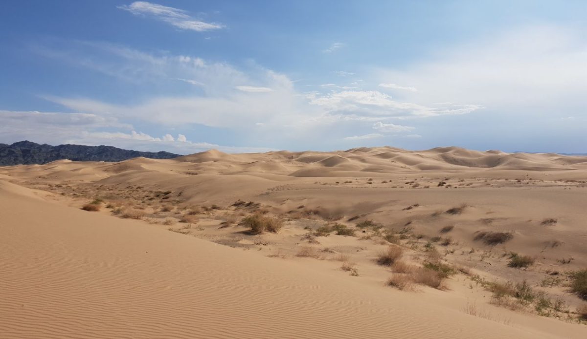 Gobi Desert, Mongolia/China