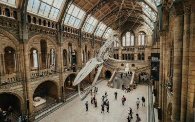 Home 2 12 Museums Around the World That Showcase the Strangest Exhibits You’ll Ever See