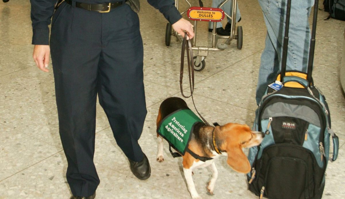 Restrictions on Food and Agriculture