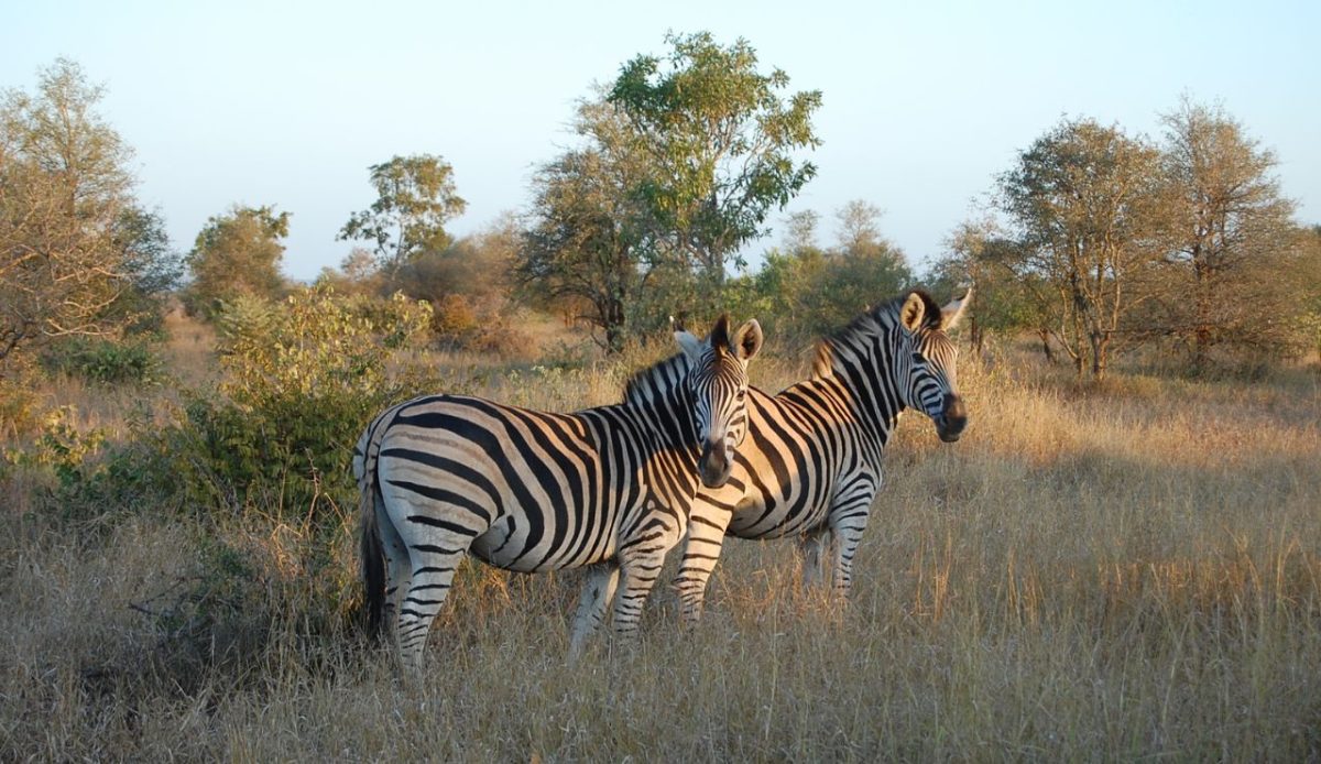 10 Stunning National Parks Outside the U.S. Travel Experts Recommend 3 10 Stunning National Parks Outside the U.S. Travel Experts Recommend 1