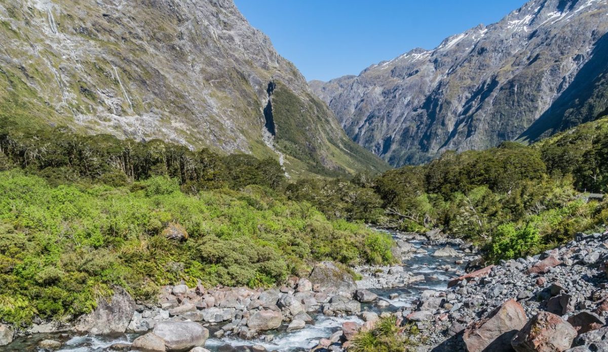 10 Stunning National Parks Outside the U.S. Travel Experts Recommend 5 Fiordland National Park, New Zealand